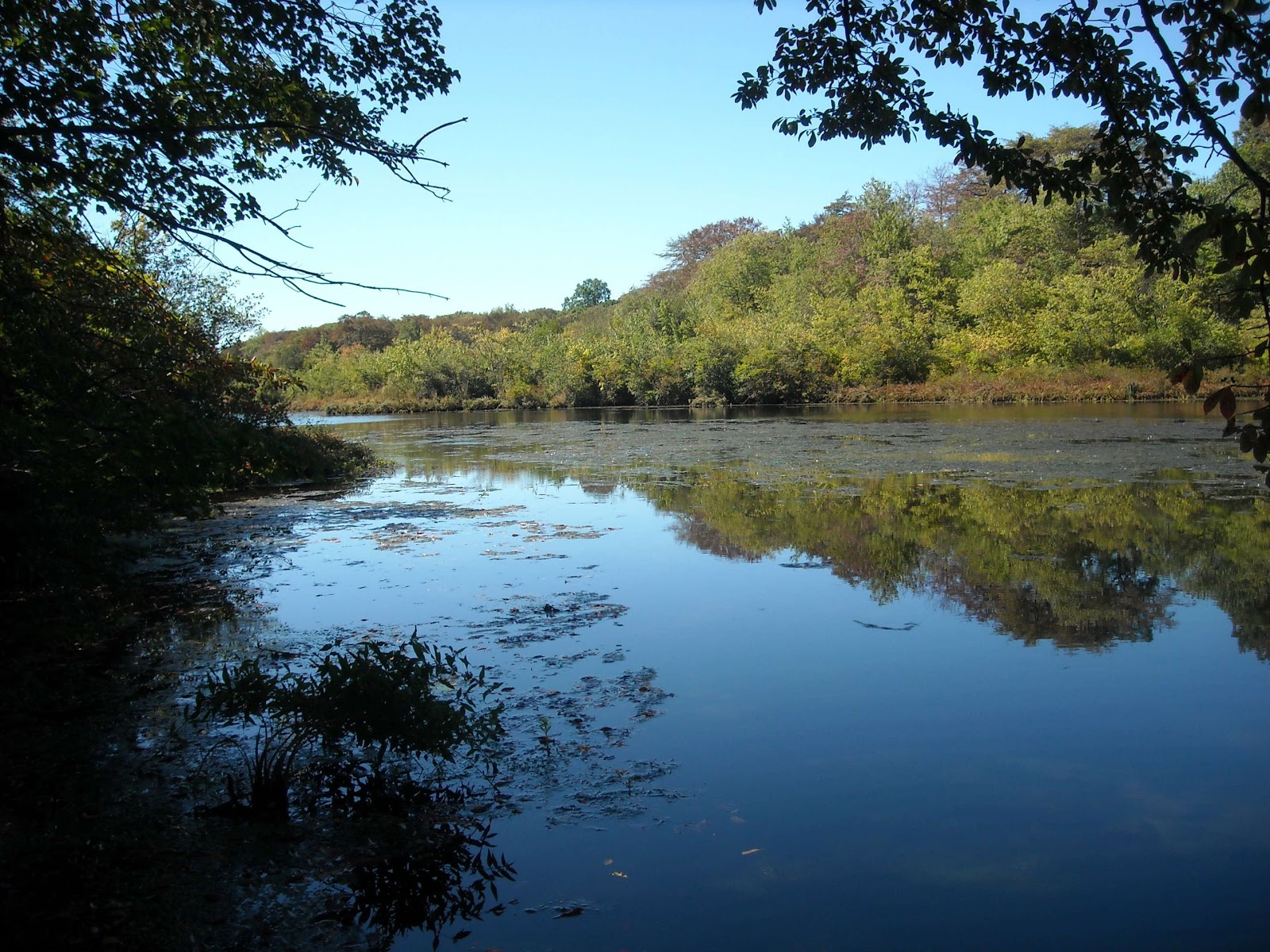 Blydenburgh County Park